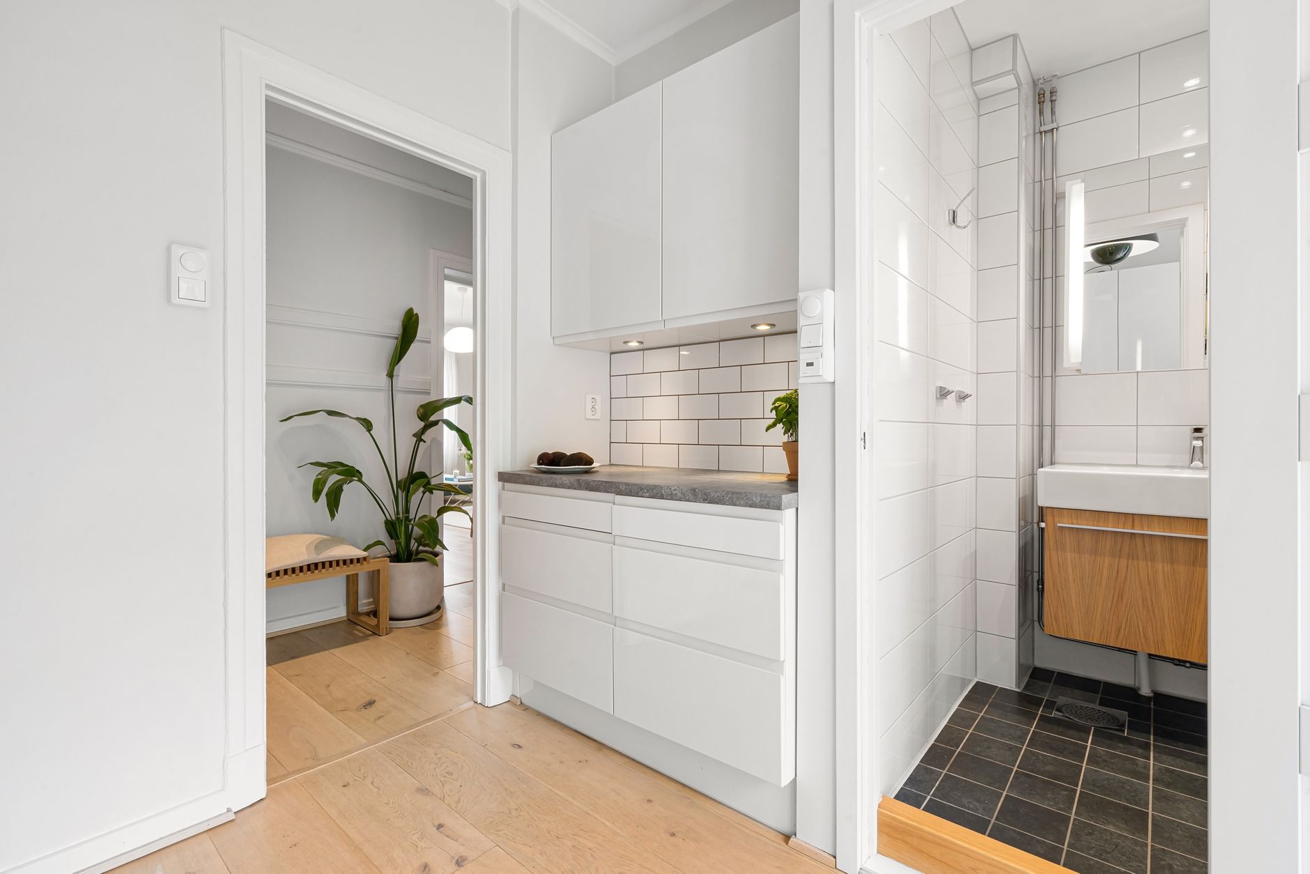 Bright and contemporary apartment interior with kitchenette and bathroom.